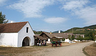 Életmód