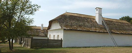 Földanya hava